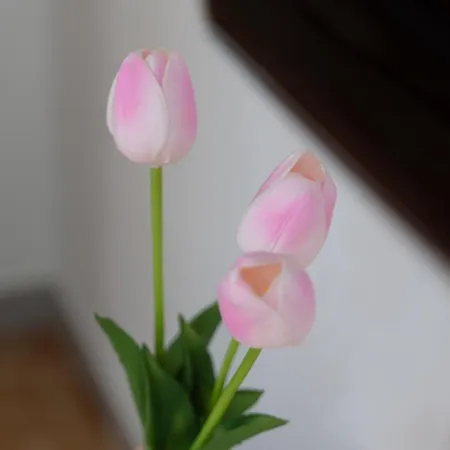 Dimora Del Mare Alghero