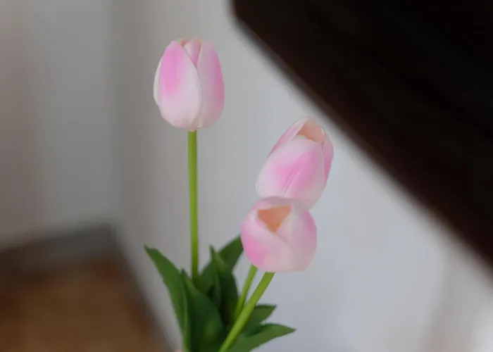 Dimora Del Mare 阿尔盖罗